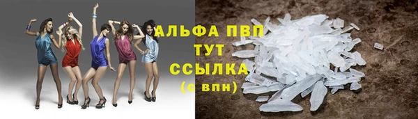 хмурый Богданович