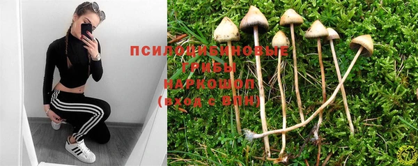 круглые Богородск