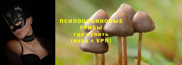 скорость Богородицк