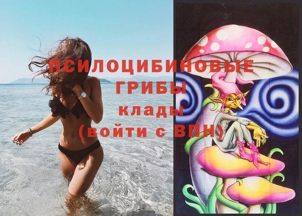хмурый Богданович