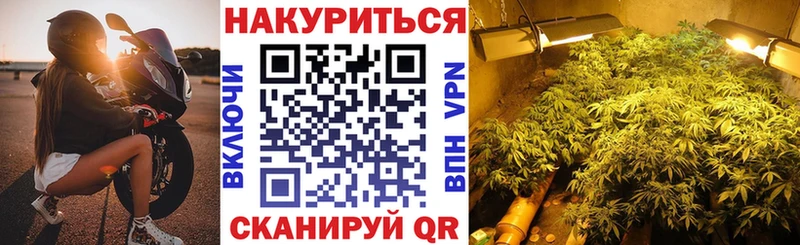 Купить где  Кизилюрт  Бошки марихуана индика 